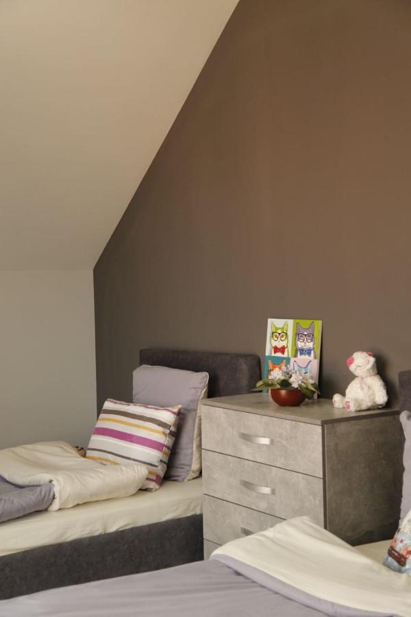 Uzhorod 3 Room Lovely House מראה חיצוני תמונה