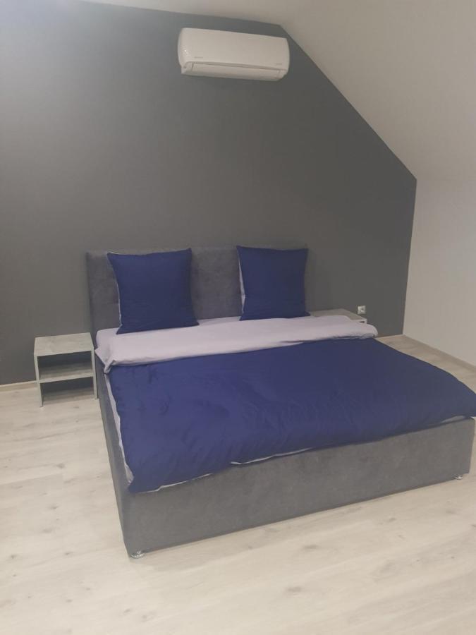 Uzhorod 3 Room Lovely House מראה חיצוני תמונה